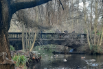 Bridge in Kelsey Park