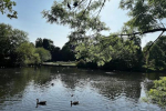 park