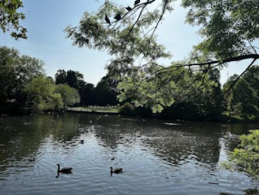park